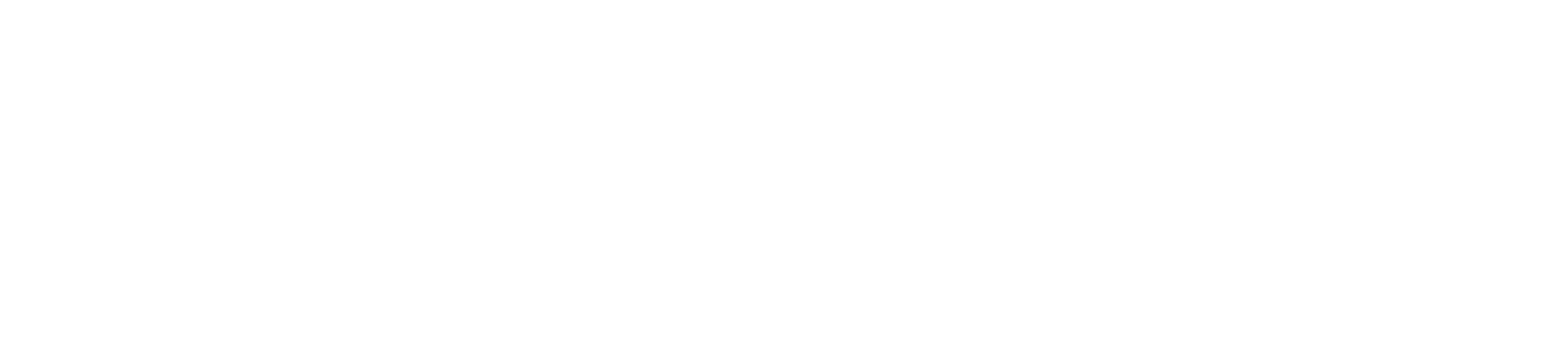 Actarvs S.r.l