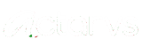 Actarvs S.r.l